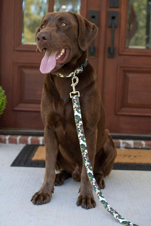 Country Brook Petz - Deluxe Woodland Bone Camo Dog Collar - Made in The U.S.A., Camouflage Collection featuring Rugged Designs (1 Inch, Medium)