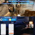 (1 1 EverNary Dog Door Bell for Potty Training to Go Outside, WiFi Doggie Door Bell, Wireless Doggy Doorbell with Phone