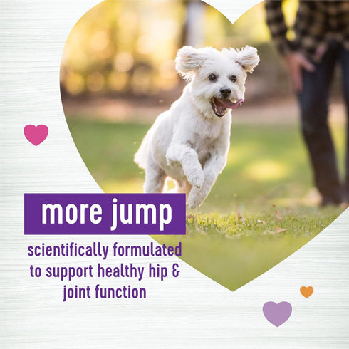 45 Count Wellness Grilled Chicken Flavored Soft Chews Hip & Joint Health Supplements for Dogs