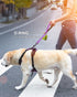 Joytale 2FT Strong Short Dog Leash, Heavy Duty Traffic Leash with Padded Handle for Medium and Large Dogs, Purple