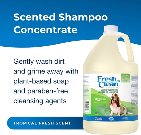 (10:1 1 PetAg Fresh n Clean Oatmeal n Baking Soda Shampoo - Tropical Fresh Scent Concentrate) - Gallon - Nurtures Dry