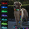 USB Rechargeable LED Dog Leash, 7 Colors & Color Cycling Mode, Light Up Heavy Duty 6FT Leash