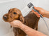 3 Mode High Pressure Dog Shower Attachment, Handheld Sprayer with ON/OFF Switch, 100 Inches Stainless Steel Hose