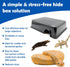 Pangea Reptile Hide Box (C- Medium) in Black
