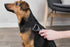 TRIXIE Pet Universal Grooming Rake, 2.5" x 7" for Cats and Dogs, Detangle and Thin