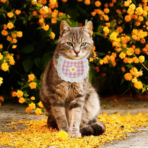 4PCS WEBEEDY Cute Dog Lace Bandana Puppy Cat Flower Scarfs Washable Daily Handkerchief Semicircle Scarf Bibs Saliva