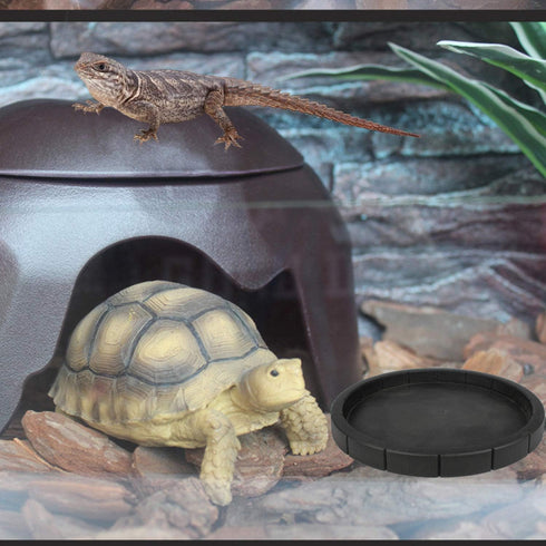 Reptile Feeding Dish Bowl - 6.7 Inches Round Food and Water Bowl for Tortoise Tank Decor