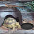 Reptile Feeding Dish Bowl - 6.7 Inches Round Food and Water Bowl for Tortoise Tank Decor