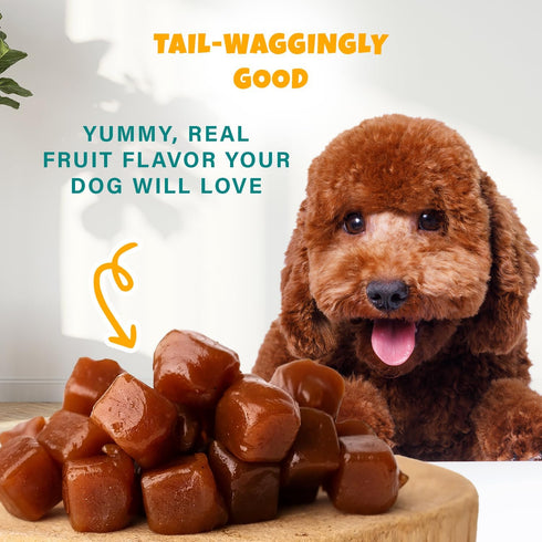 Plant-Based Pumpkin Dog Treats - Healthy Vegetarian, Vegan Treats with Organic Ingredients