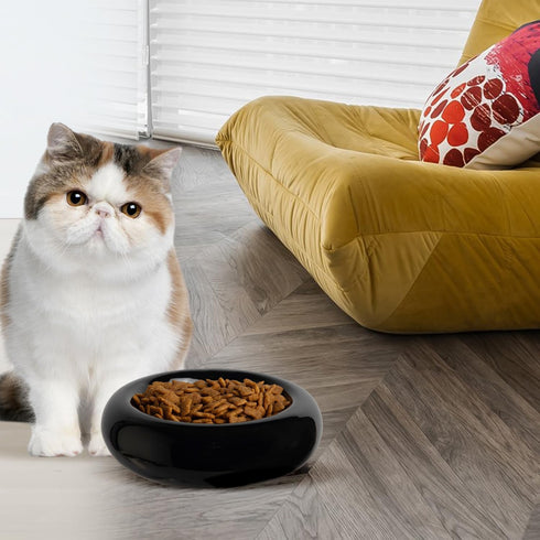 6.1 Inch Cat Bowls, 7 oz Ceramic Cat Food Bowl for Whisker Fatigue Relief, Anti-Vomiting