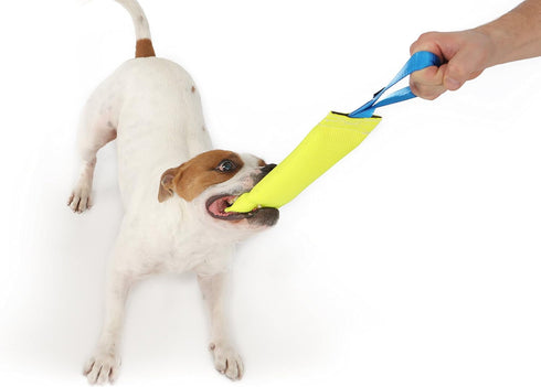Dog Bite Tug Toy - 10 Inches Durable Interactive Toy for Medium to Large Dogs, Perfect for Tug of War