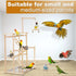 (3 Pet Parrot Playstand Parrots Bird Playground Bird Play Stand Wood Perch Gym Playpen Ladder with Feeder Cups Bells