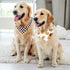 2Pcs One Happy Dude Dog Bandana, Boho Smile Face Checkerboard Print Fabric Pet Scarf, Adjustable Neckerchief