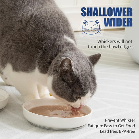 Shallow Cat Food Bowls, 5.9 Inch Wide Ceramic Cat Dish for Indoor Cat,Anti Whisker Fatigue Cat Dishes Set, Kitten Plates for Food and Water,Non-Slip Silicone Mat,3 Pack(Blue)