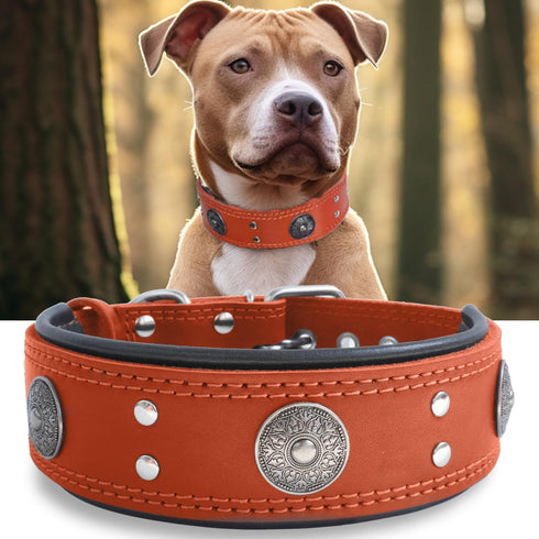 Heavy Duty Genuine Leather Dog Collar, 2 inches Wide, Handmade, Soft, Luxury, Best for Large Medium Dogs, Orange