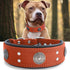 Heavy Duty Genuine Leather Dog Collar, 2 inches Wide, Handmade, Soft, Luxury, Best for Large Medium Dogs, Orange
