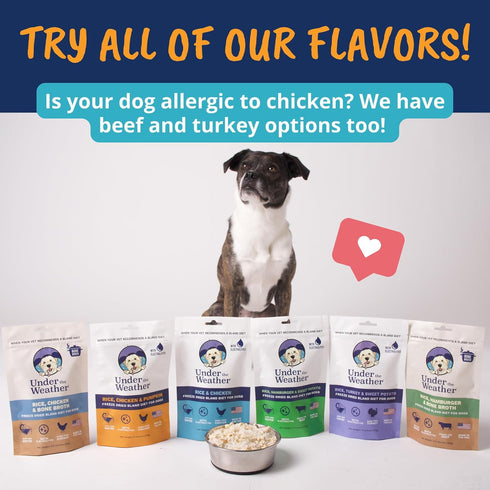 Under the Weather Bland Diet for Dogs - 6oz Pack, Easy to Digest Rice, Chicken & Pumpkin, All Natural