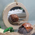 3.1 Inches Hermit Crab Mirror Toy, Reptile Mirror Toy for Small Animal Cage Tank Decor, Suitable for Hermit Crab