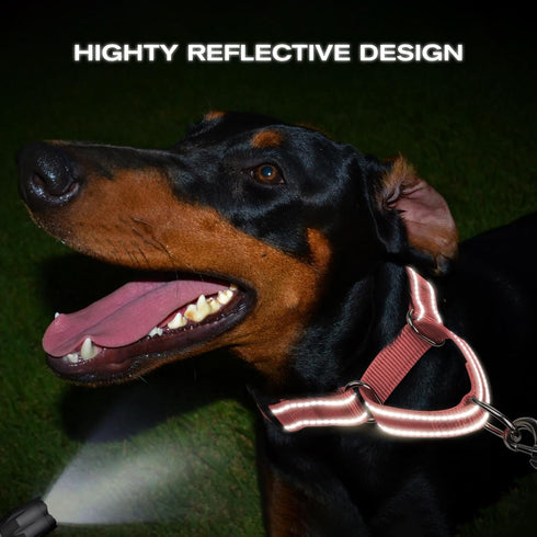 Joytale Martingale Collar for Dogs, Adjustable Reflective Heavy Duty Collar with Quick Release Buckle for Medium Dogs,