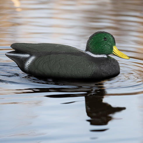 Realistic Mallard Duck Models as Decoys and Ornaments Loved by Hunting Enthusiasts
