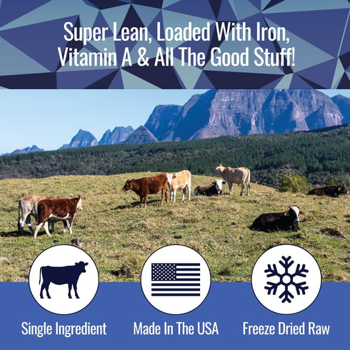 Freeze Dried Beef Liver Bites - 2oz Bag, 1 Pack - Low Calorie Single Ingredient Dog Treats for Training
