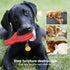 Indestructible Squeaky Dog Toys for Aggressive Chewers, Tough Chew Toys for Medium/Large Dogs, Heavy Duty (Slipper-Red)