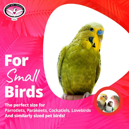 Super Bird Creations SB473 Peekaboo Perch Tent, 10”x4”x4.5”, Ideal Bird Cage Accessories for Small Birds