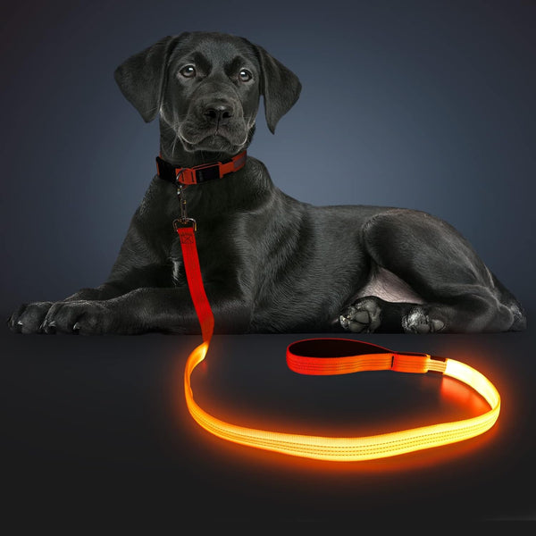 LED Light Up Dog Leash, USB Rechargeable, 3 Lighting Modes, Glow in The Dark for Pets