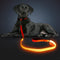 LED Light Up Dog Leash, USB Rechargeable, 3 Lighting Modes, Glow in The Dark for Pets