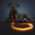 LED Light Up Dog Leash, USB Rechargeable, 3 Lighting Modes, Glow in The Dark for Pets
