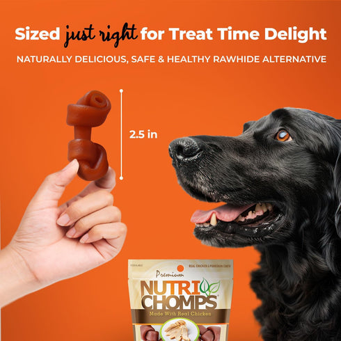 NutriChomps Dog Chews - 2.5-inch Knots, Rawhide-Free Dog Treats, 8 Count, Real Chicken Flavor
