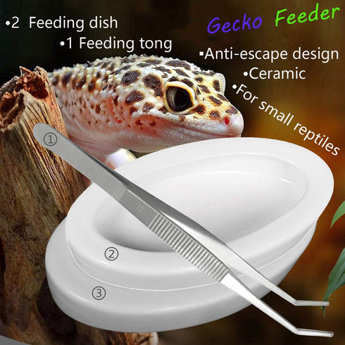 Reptile Worm Feeding Dish Bowls, Gecko Lizard Feeder Dish with 2 Bowls and 1 Feeding Tong, Ceramic Mini Size