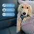 Voyager Step-In Air Dog Harness - All Weather Mesh, Reflective, No Pull for Small, Medium Dogs, Cats - Baby Blue/Black