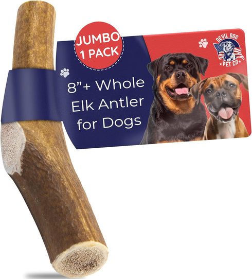 Devil Dog Pet Co. Elk Antlers for Dogs, 1 Pack, Jumbo 8”+, Grade A Long Lasting Dog Bones for Aggressive Chewers