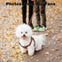 XXS Dog Harness and Leash Set, Adjustable No Pull Puppy Harness with Multifunction Brown Leash & Collar for Small Dogs