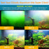 AquaMiracle Aquarium Filter for Green Water, U-V Fish Tank Pump with Timer, Dual Mode for 40-120 Gallon Tanks
