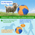 WHXMHRQ 25 Inch Herding Ball for Dogs - Blue & Orange Two-Tone Color, Enhanced Bite-Resistant Herding Toy