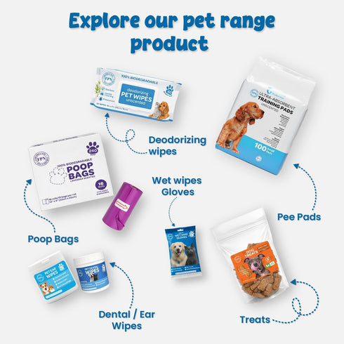 25 Count 24x36 Inch FPN Puppy Pads for Dogs | Extra Large Disposable Pee Pads for Dogs & Puppies | Dog Training Pads