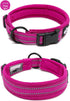 Creation Core Reflective Dog Collar with Ring Breathable Mesh Soft Padded Adjustable Nylon Pet Collar 0.8" Wide, Pink S
