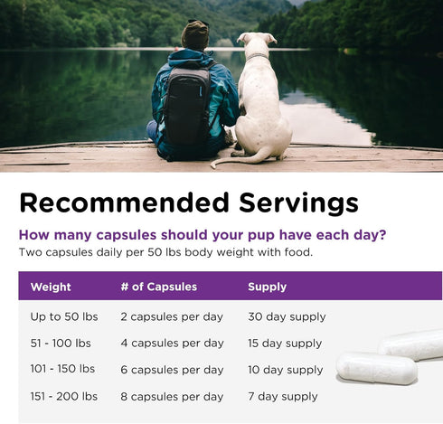 Nutri-Vet Probiotics Capsules for Dogs, Supports Digestive Health, 60 Count, Vet Formulated