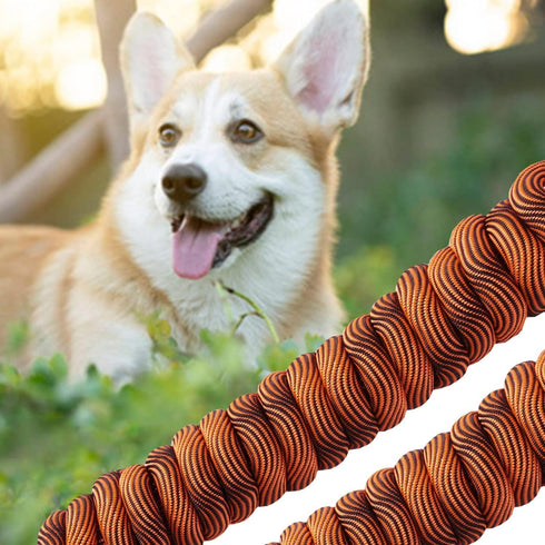 Long Dog Leash 16FT/30FT/50FT Recall Training Rope, Heavy Duty Lead for Large, Medium, Small Dogs Playing or Camping