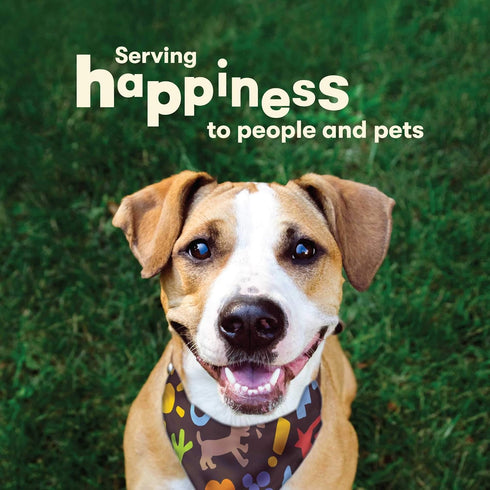 Pet 'n Shape Hide Twists, Chicken Wrapped Rawhide Dog Treats, Small Twist, 2 Pounds