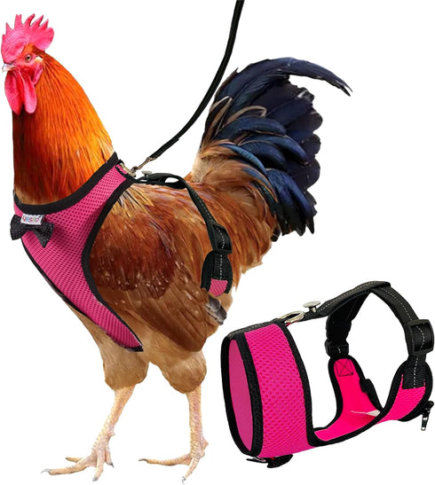 Chicken Harness Hen Size with 6ft Matching Leash, Adjustable, Comfortable, Large Size for Chicken Weighing About 6.6