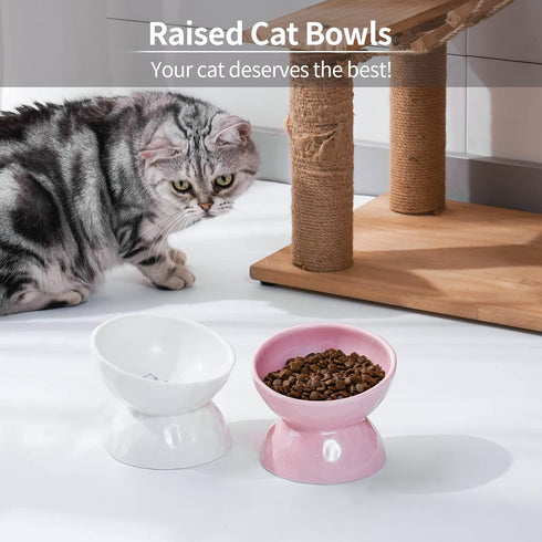 OMAYKEY Ceramic Raised Cat Bowls, Tilted Elevated Cat Food and Water Bowls, Porcelain Stress Free Cat Food Feeder Bowl Collection, Pet Bowl Dish for Cats and Small Dogs, White & Pink, Set of 2