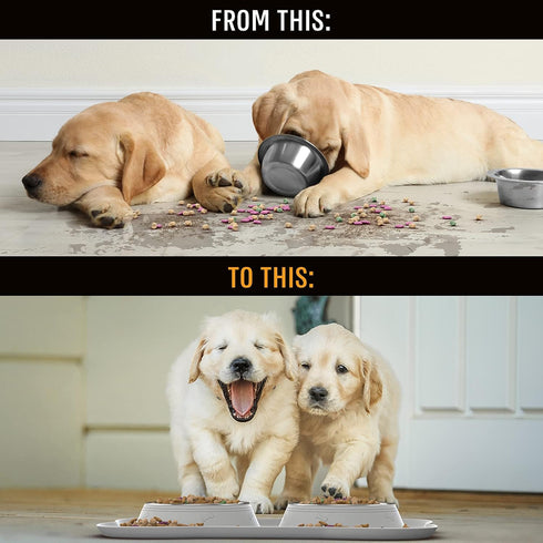 Active Pets Dog Bowl Set, Stainless Steel No Spill Food & Water Bowls with Skid Resistant Silicone Mat, Small, Medium,