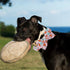 Rugby Dog Collar with Flower Bows, Adjustable Bowtie Pet Collar for X-Small Dogs