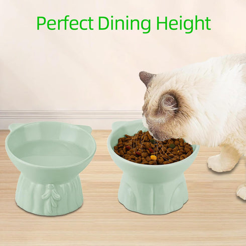 Elevated Ceramic Cat Bowls, 2Pc Extra Wide Raised Shallow Food and Water Dish, Whisker Friendly, Anti Vomit, Microwave