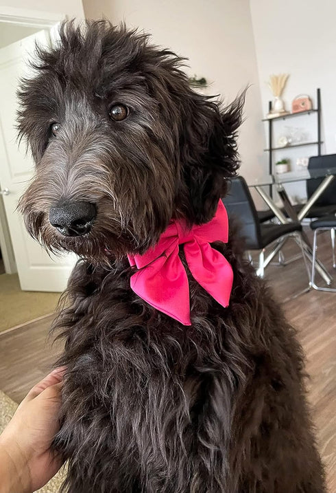 Maca Bates Dog Collar with Rose Red Bow Bowtie - Solid Colors Adjustable Breakaway Girly Pink Collars for Dogs