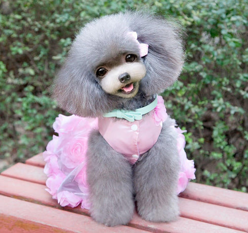 SMALLLEE_LUCKY_STORE Pet Small Dog Wedding Dress with Bowknot, Pink, Large, Birthday Party Costume