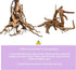 8 Pack Natural Driftwood for Aquarium | Spider Wood Freshwater Fish Tank Reptile Driftwood Branch